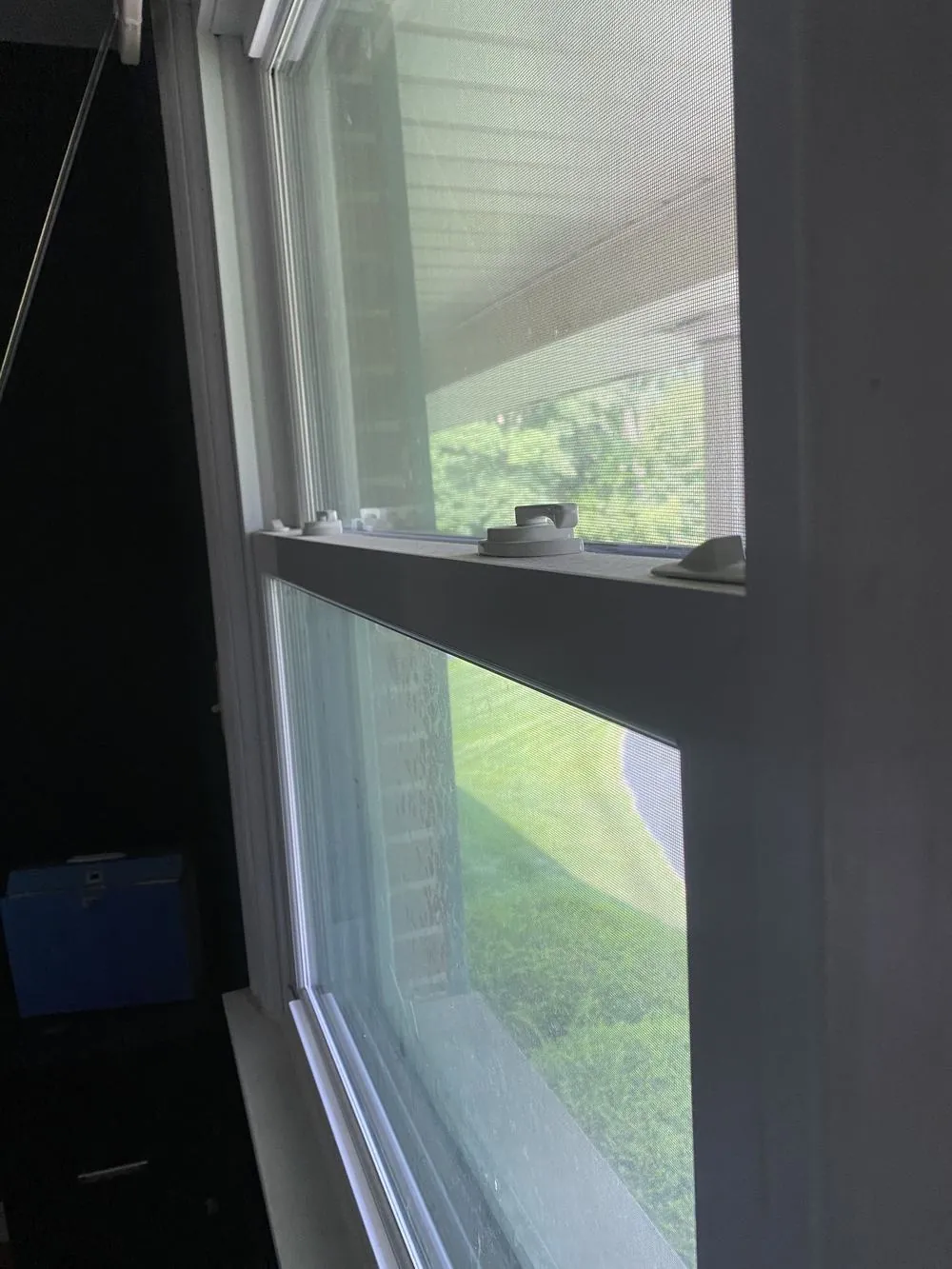 Clean double-hung window looking out onto a green lawn
