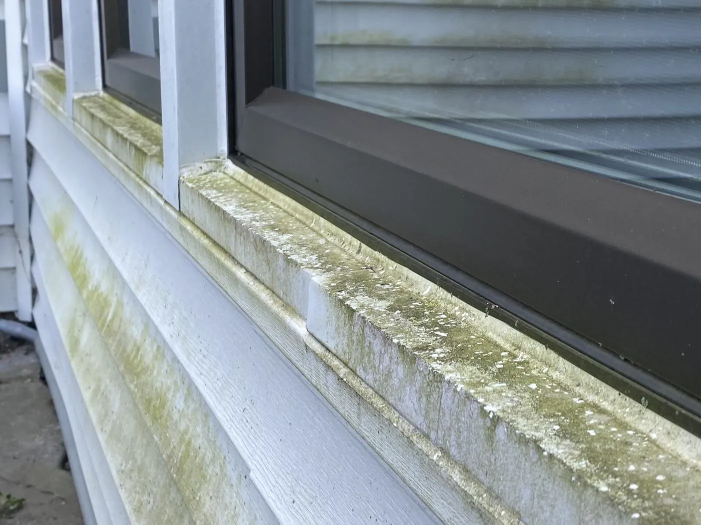 Window frame and sill covered in green algae and dirt